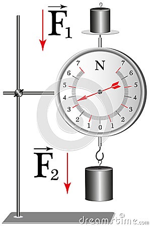 Demonstration school dynamometer which shows the strength of the action Vector Illustration